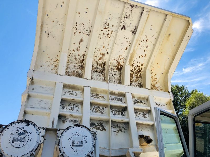 Perlini DP 655B (2965) - Dumper Starr: das Bild 5 Perlini DP 655B (2965) - Dumper Starr: das Bild 5