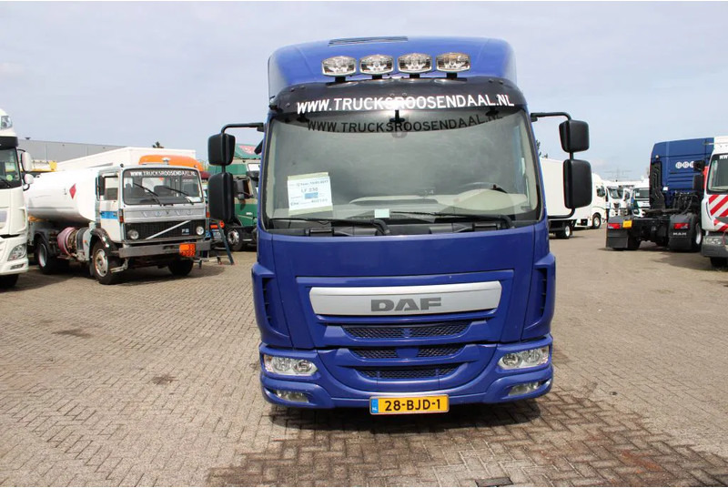 DAF LF 230 + EURO 6 - Tiertransporter LKW: das Bild 2 DAF LF 230 + EURO 6 - Tiertransporter LKW: das Bild 2