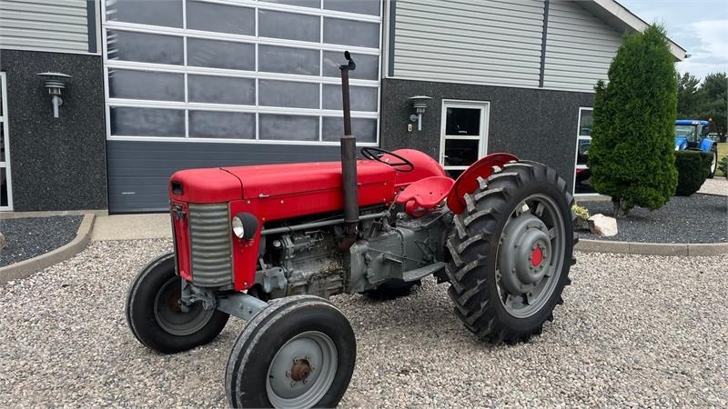 Massey Ferguson 65 Med nye dæk - Traktor: das Bild 2 Massey Ferguson 65 Med nye dæk - Traktor: das Bild 2