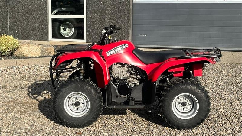 Yamaha Big bear 250 - Quad: das Bild 5 Yamaha Big bear 250 - Quad: das Bild 5