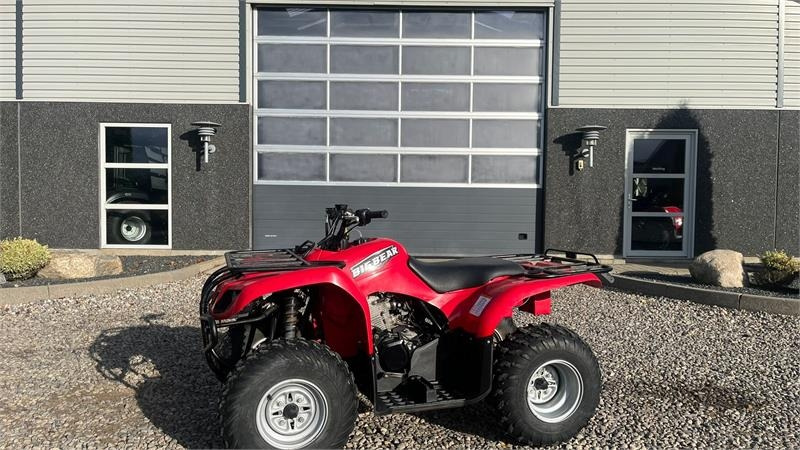 Yamaha Big bear 250 - Quad: das Bild 1 Yamaha Big bear 250 - Quad: das Bild 1