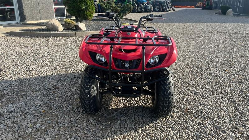 Yamaha Big bear 250 - Quad: das Bild 4 Yamaha Big bear 250 - Quad: das Bild 4