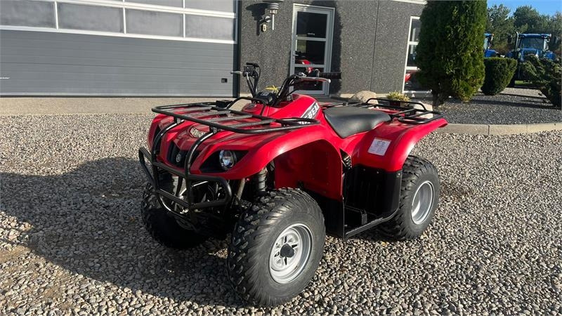 Yamaha Big bear 250 - Quad: das Bild 2 Yamaha Big bear 250 - Quad: das Bild 2