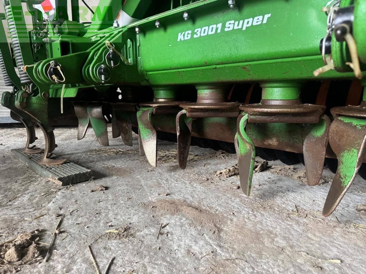 Amazone centaya - Säkombination: das Bild 5 Amazone centaya - Säkombination: das Bild 5