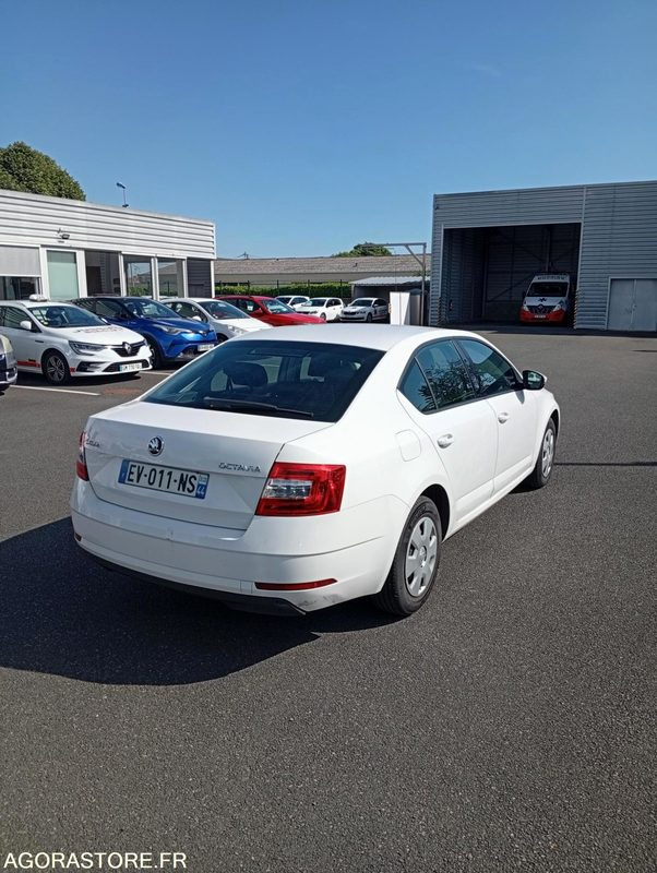 EV-011-NS - Roulant - SKODA OCTAVIA - VP - 389 000 Kms - PKW: das Bild 3 EV-011-NS - Roulant - SKODA OCTAVIA - VP - 389 000 Kms - PKW: das Bild 3