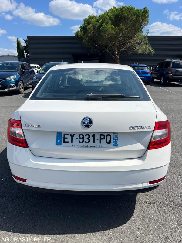 EY-931-PQ - Roulant - Skoda Octavia - VP - 339 796 Kms - PKW: das Bild 4 EY-931-PQ - Roulant - Skoda Octavia - VP - 339 796 Kms - PKW: das Bild 4
