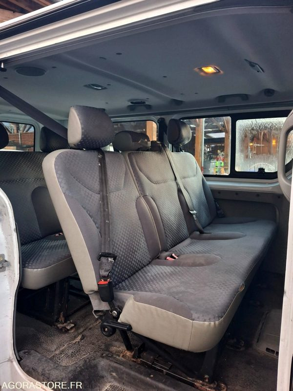 Kleinbus, Personentransporter MINIBUS RENAULT TRAFIC: das Bild 7 Kleinbus, Personentransporter MINIBUS RENAULT TRAFIC: das Bild 7