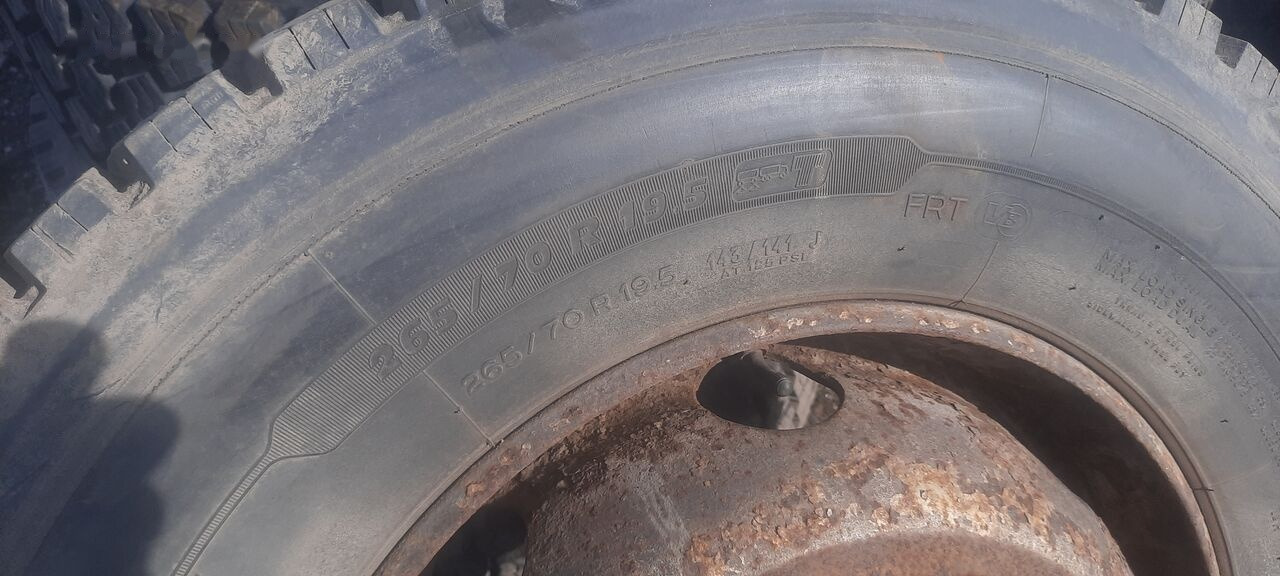 Michelin 295*80R22.5 255*70 \ 275*70* 265\70R19.5 - Reifen für LKW: das Bild 4 Michelin 295*80R22.5 255*70 \ 275*70* 265\70R19.5 - Reifen für LKW: das Bild 4