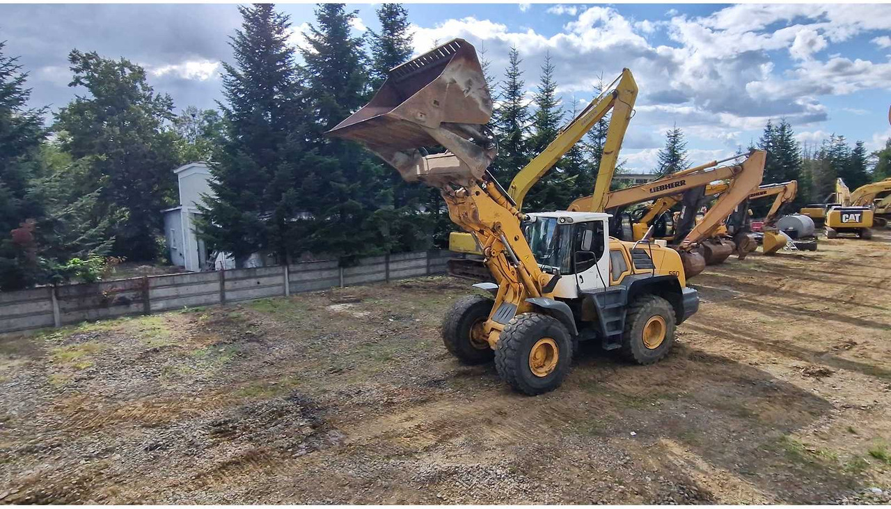 Liebherr L550 - Radlader: das Bild 4 Liebherr L550 - Radlader: das Bild 4