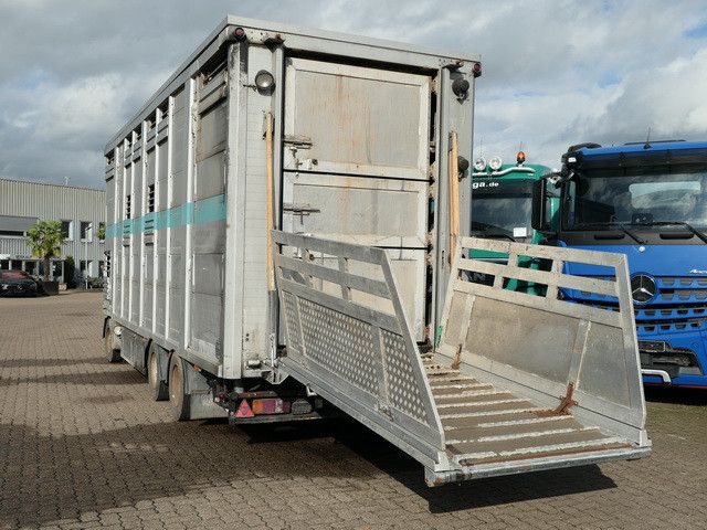 Bannas AT 24.83, 3 Etagen, Schweine, Liftachse - Tiertransporter Anhänger: das Bild 4 Bannas AT 24.83, 3 Etagen, Schweine, Liftachse - Tiertransporter Anhänger: das Bild 4