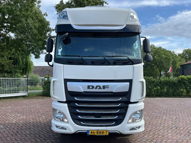 DAF XF 480 FT - Sattelzugmaschine: das Bild 3 DAF XF 480 FT - Sattelzugmaschine: das Bild 3