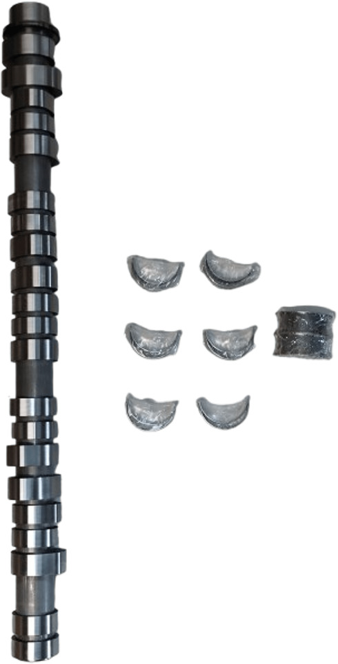 VOLVO FM4 B11R ENG-VE11 EM-EU6 / RVI CAMSHAFT AND BEARING KIT OE 7422431870 - Nockenwelle für LKW: das Bild 5 VOLVO FM4 B11R ENG-VE11 EM-EU6 / RVI CAMSHAFT AND BEARING KIT OE 7422431870 - Nockenwelle für LKW: das Bild 5
