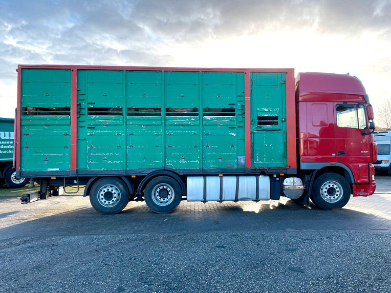 DAF XF 105.460 2-Stock Finkl Viehaufbau / Lenkachs - Tiertransporter LKW: das Bild 4 DAF XF 105.460 2-Stock Finkl Viehaufbau / Lenkachs - Tiertransporter LKW: das Bild 4
