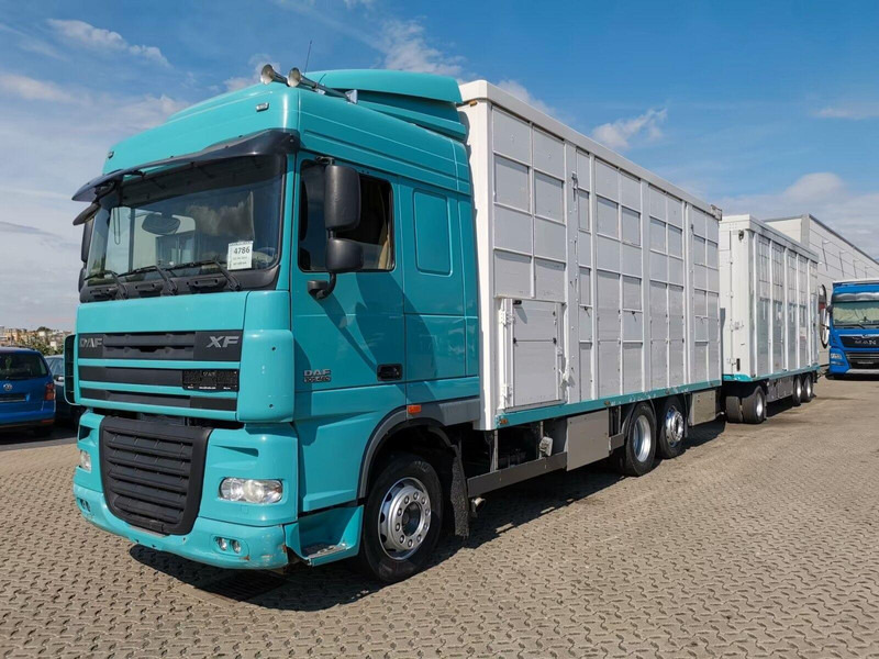 DAF XF 105.460 - Animal transporter + trailer - Tiertransporter LKW: das Bild 1 DAF XF 105.460 - Animal transporter + trailer - Tiertransporter LKW: das Bild 1