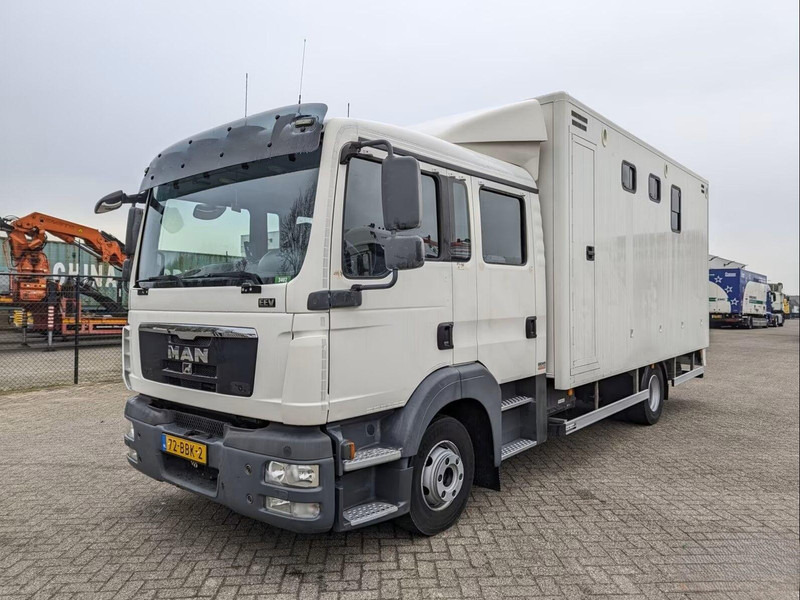 MAN TGL 12.180 - Doka Horse transporter - Pferdetransporter: das Bild 1 MAN TGL 12.180 - Doka Horse transporter - Pferdetransporter: das Bild 1