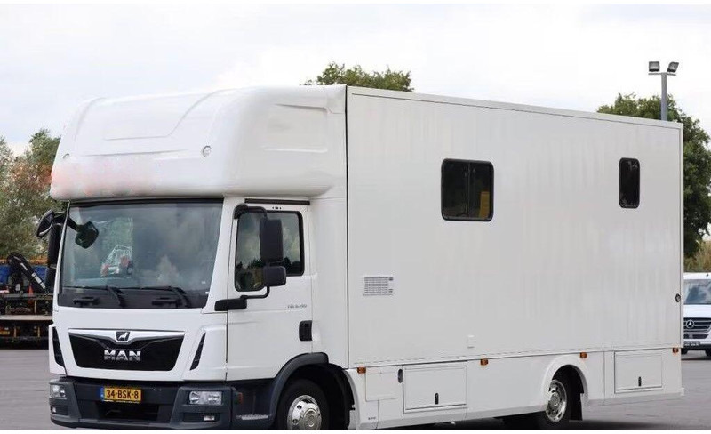 MAN TGL 8.190 - Pferdetransporter: das Bild 1 MAN TGL 8.190 - Pferdetransporter: das Bild 1