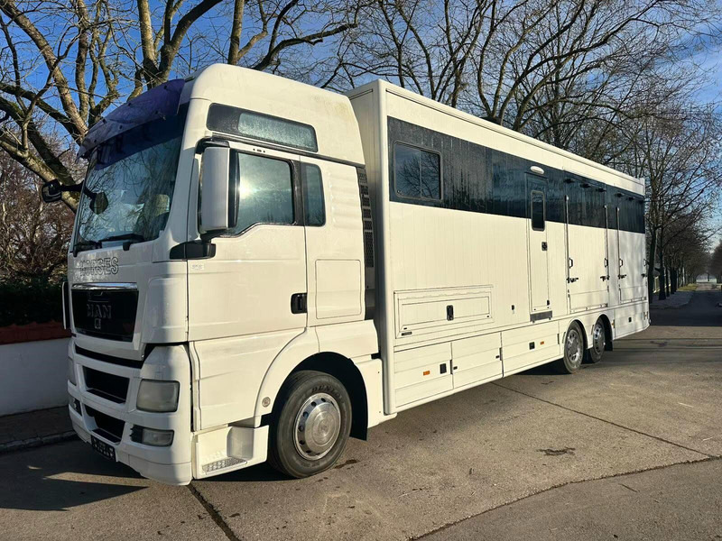 MAN TGX 26.440 - Horse transporter - Pferdetransporter: das Bild 1 MAN TGX 26.440 - Horse transporter - Pferdetransporter: das Bild 1