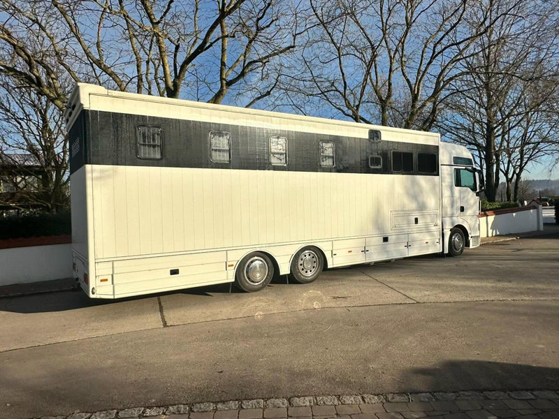 MAN TGX 26.440 - Horse transporter - Pferdetransporter: das Bild 3 MAN TGX 26.440 - Horse transporter - Pferdetransporter: das Bild 3