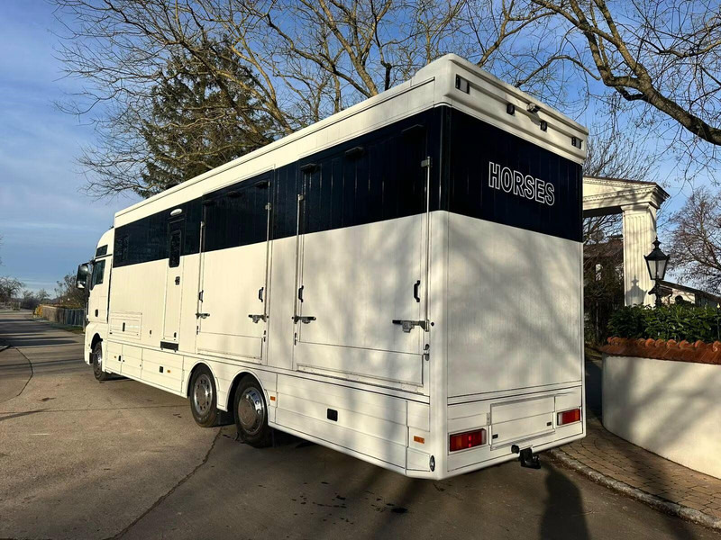 MAN TGX 26.440 - Horse transporter - Pferdetransporter: das Bild 4 MAN TGX 26.440 - Horse transporter - Pferdetransporter: das Bild 4