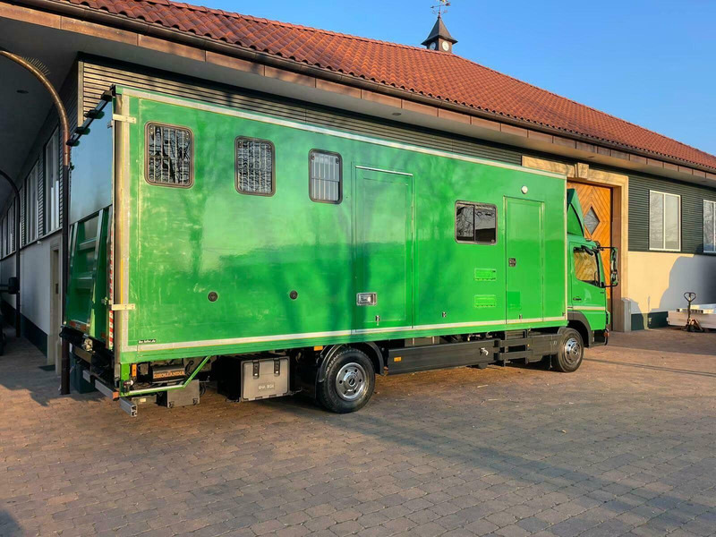 Mercedes-Benz Atego 1018 - Horse transporter - Pferdetransporter: das Bild 5 Mercedes-Benz Atego 1018 - Horse transporter - Pferdetransporter: das Bild 5