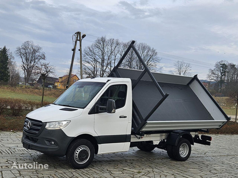 Mercedes-Benz Sprinter 419/519 CDI 3 way tipper - Kipper Transporter: das Bild 2 Mercedes-Benz Sprinter 419/519 CDI 3 way tipper - Kipper Transporter: das Bild 2