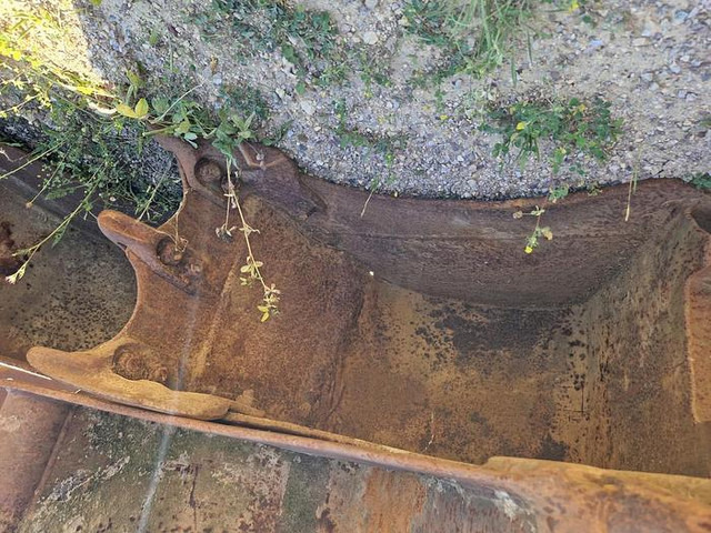 Volvo S50 - Schaufel: das Bild 1 Volvo S50 - Schaufel: das Bild 1