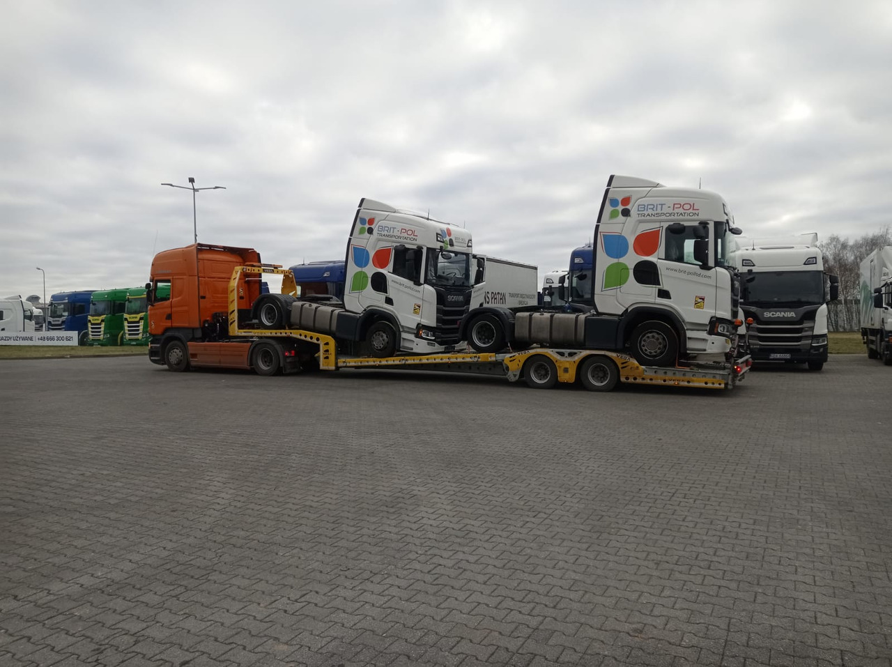 Autotransporter Auflieger Für die Beförderung von schwere Technik, Zustand - NEU VEGA-S (2 AXLE TRUCK CARRIER): das Bild 18