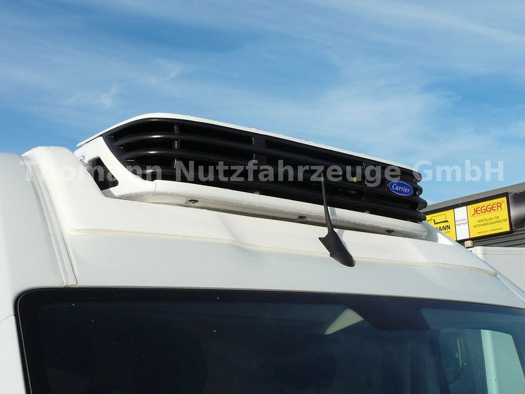 Kühltransporter, Zustand - NEU Opel Movano Kühlkastenwagen Xarios 300 GH: das Bild 14