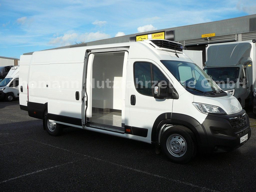 Kühltransporter, Zustand - NEU Opel Movano Kühlkastenwagen Xarios 300 GH: das Bild 10