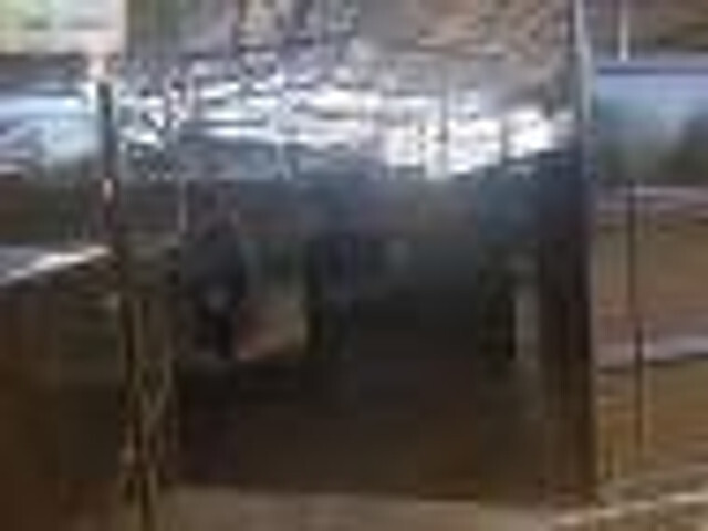 Tiertransporter Anhänger Dinapolis przyczepa do przewozu bydła TRV 760: das Bild 7