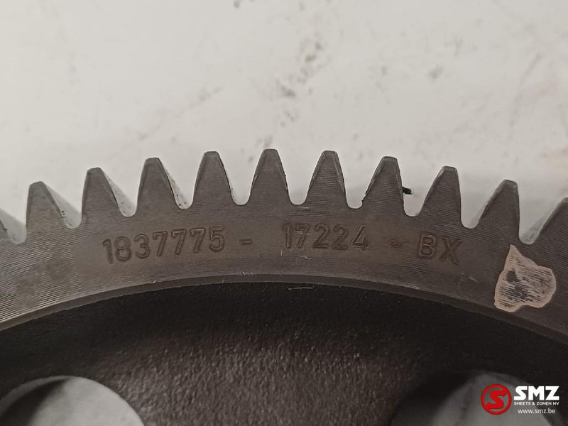 DAF Occ nokkenastandwiel MX13 DAF - Nockenwelle für LKW: das Bild 3 DAF Occ nokkenastandwiel MX13 DAF - Nockenwelle für LKW: das Bild 3