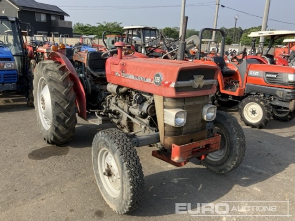 1979 Massey Ferguson 135 - Traktor: das Bild 4 1979 Massey Ferguson 135 - Traktor: das Bild 4