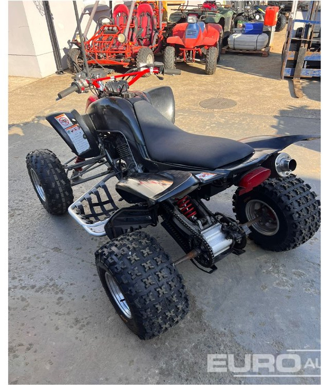 2006 Suzuki Raptor 660 - Quad: das Bild 2 2006 Suzuki Raptor 660 - Quad: das Bild 2