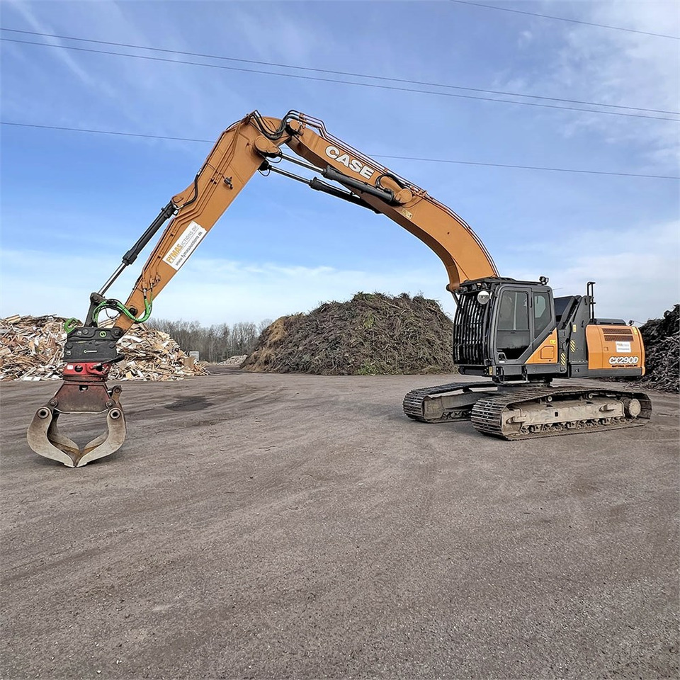 Umschlagbagger Case CX290 D: das Bild 7
