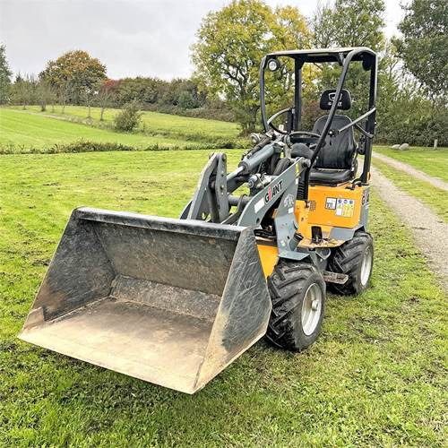 Giant D254SW - Kompaktlader: das Bild 4 Giant D254SW - Kompaktlader: das Bild 4