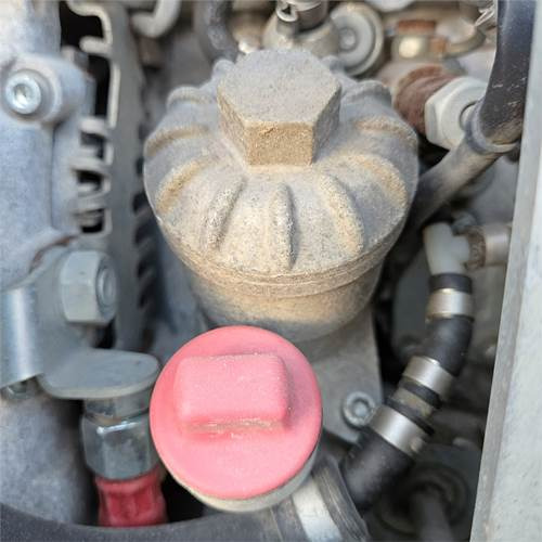 Rüttelplatte Wacker Neuson DPU6555 Heh: das Bild 24