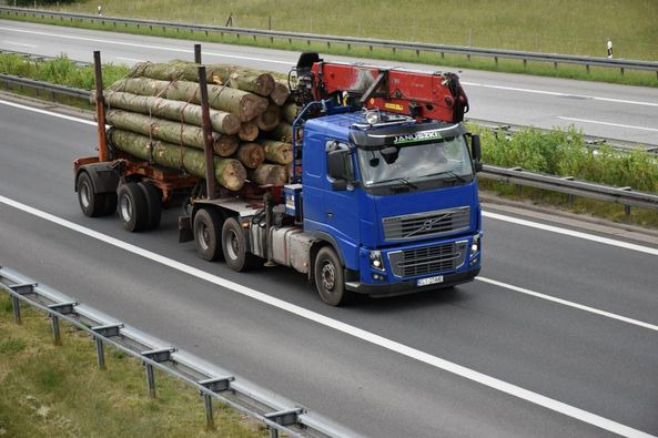 Holztransporter VOLVO FH16 700 6×4: das Bild 8