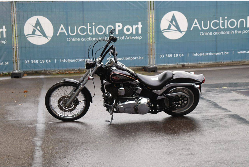 Harley-Davidson Softail Custom - Motorrad: das Bild 1 Harley-Davidson Softail Custom - Motorrad: das Bild 1