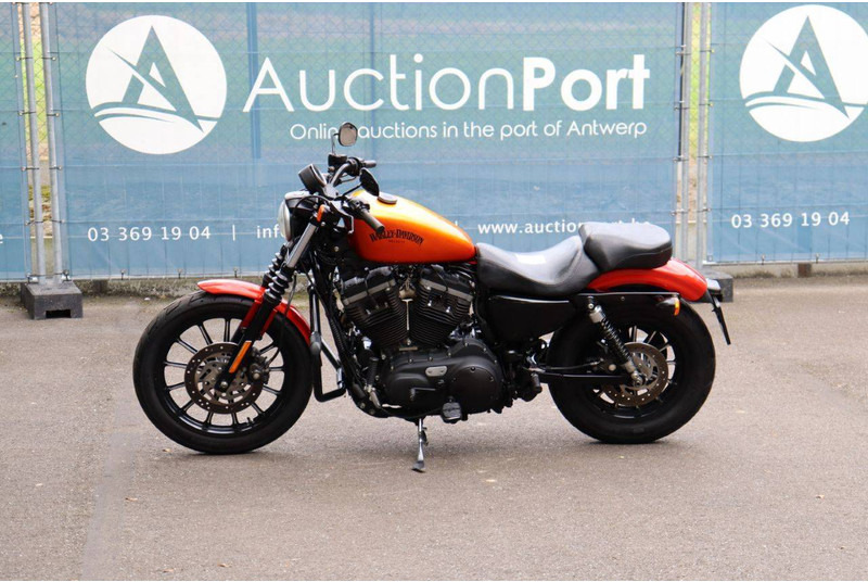 Harley-Davidson Sportster XL883 Iron - Motorrad: das Bild 1 Harley-Davidson Sportster XL883 Iron - Motorrad: das Bild 1