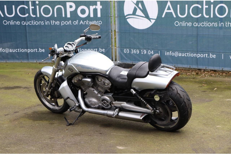 Harley-Davidson V-Rod Muscle - Motorrad: das Bild 3 Harley-Davidson V-Rod Muscle - Motorrad: das Bild 3