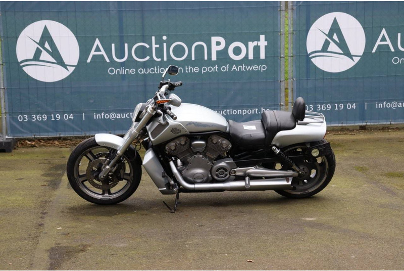 Harley-Davidson V-Rod Muscle - Motorrad: das Bild 1 Harley-Davidson V-Rod Muscle - Motorrad: das Bild 1