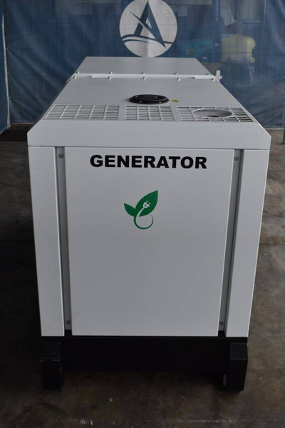Stromgenerator, Zustand - NEU Pheatonn GF2-W22: das Bild 8