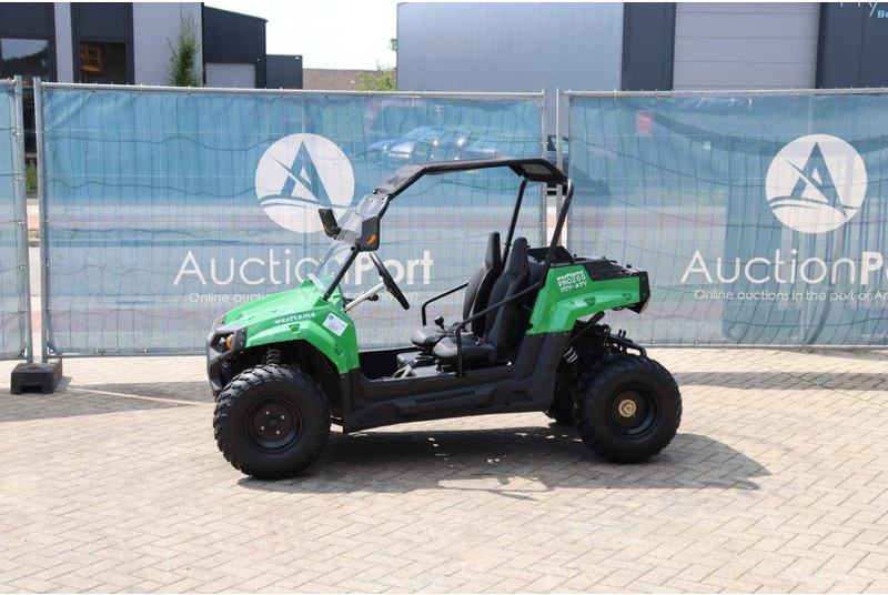 Wextrem 200Pro - Golfmobil: das Bild 1 Wextrem 200Pro - Golfmobil: das Bild 1