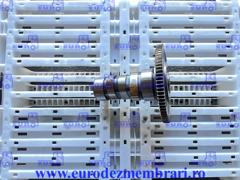 AX CU CAME POMPE DE INALTA PRESIUNE DAF XF106 MX-11 H1 1958279, 1911804, 2187738 - Nockenwelle für LKW: das Bild 1 AX CU CAME POMPE DE INALTA PRESIUNE DAF XF106 MX-11 H1 1958279, 1911804, 2187738 - Nockenwelle für LKW: das Bild 1